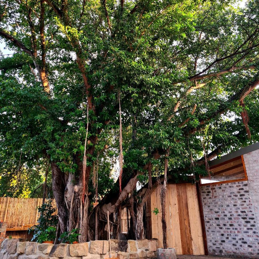 Uthando Backpackers Lodge Oudtshoorn Esterno foto